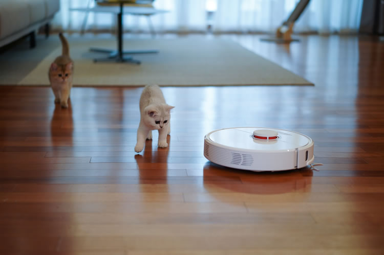 Two kittens on a hardwood floor, looking anxiously at a Roomba. Photo by YoonJae Baik on Unsplash.