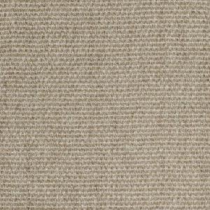 Blissful Beige
