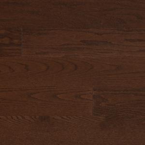 Red Oak - Autumn Leaf