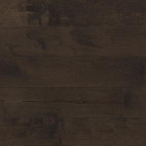 Hard Maple - Mystic Brown