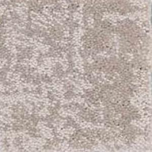 Fine Structure carpet by Shaw, in Baltic Stone