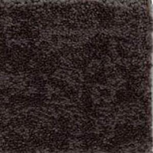 Fine Structure carpet by Shaw, in Burma Brown