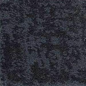 Fine Structure carpet by Shaw, in Deep Sea