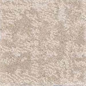 Fine Structure carpet by Shaw, in Delicate Cream