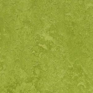 Marmoleum Fresco flooring in Green