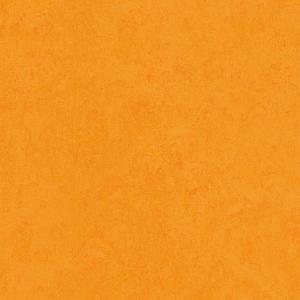 Marmoleum Fresco flooring in Marigold