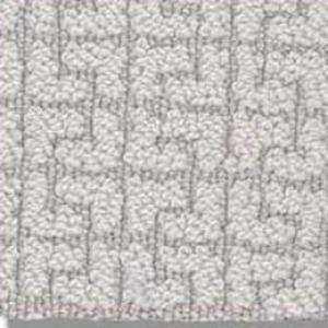 Serene Key carpet by shaw in Minimal
