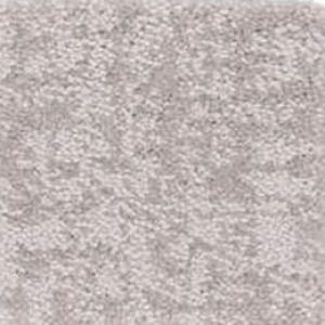 Fine Structure carpet by Shaw, in Minimal