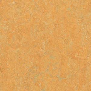 Marmoleum Real flooring in Golden Saffron
