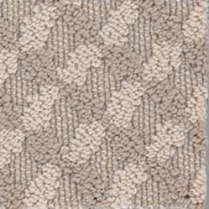 Inspired Design carpet by Shaw in Natural Beauty