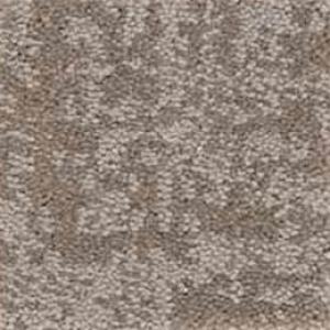 Fine Structure carpet by Shaw, in Stucco