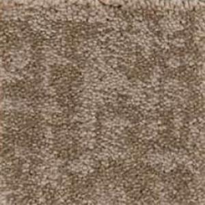 Fine Structure carpet by Shaw, in Tumbleweed