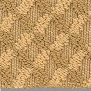 Inspired Design carpet by Shaw in Turmeric