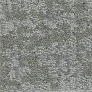 Fine Structure carpet by Shaw, in Water's Edge
