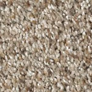 Romantic Charm Fleck carpet from Mohawk in Winter Delta Fleck