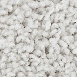 Enduring Strength SmartStrand carpet by Mohawk in Winter Wind